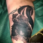 Фото татуировки со скунсом 28.03.2021 №272 - Skunk tattoo - tatufoto.com