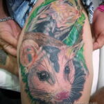 Фото татуировки со скунсом 28.03.2021 №366 - Skunk tattoo - tatufoto.com