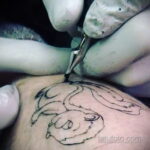 Фото татуировки со скунсом 28.03.2021 №444 - Skunk tattoo - tatufoto.com