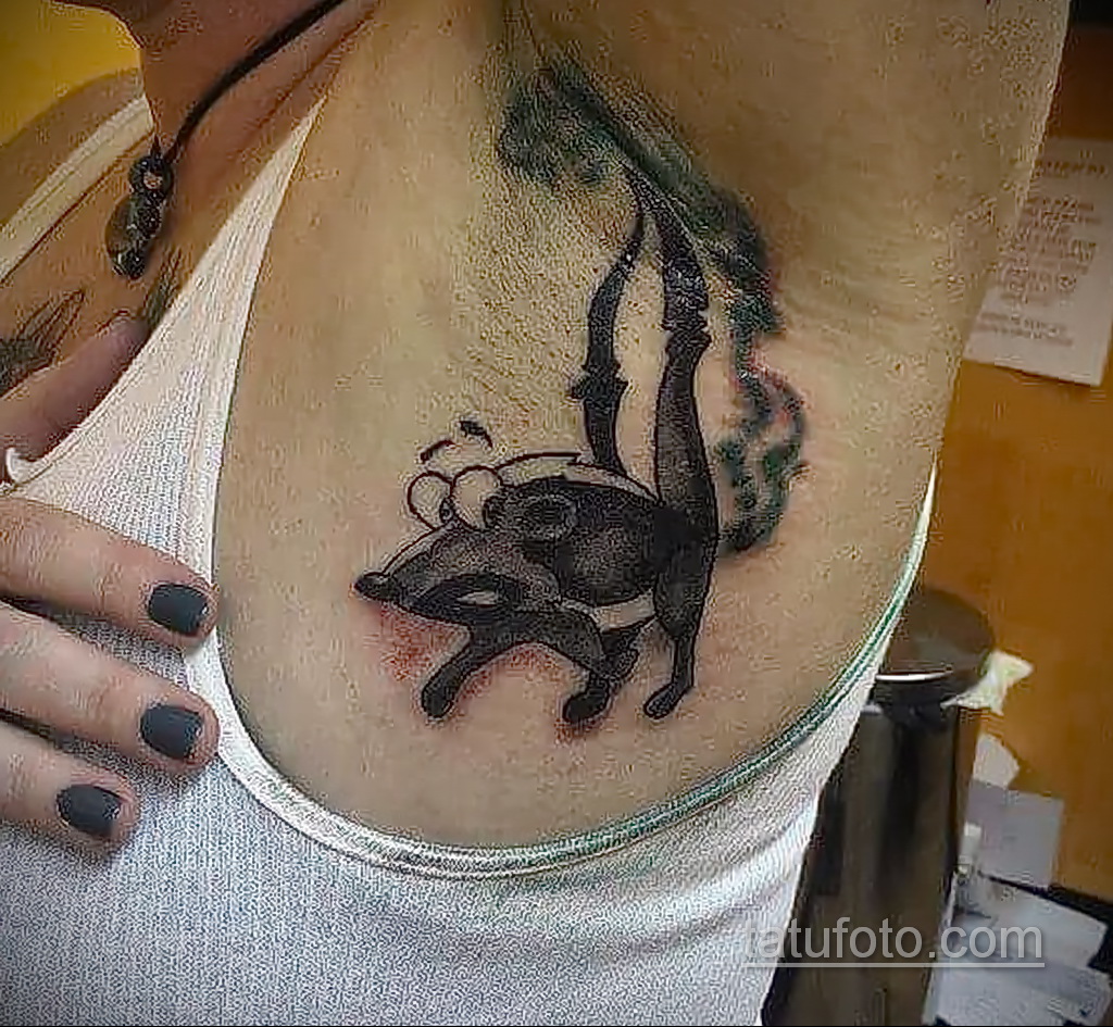 Фото татуировки со скунсом 28.03.2021 №473 - Skunk tattoo - tatufoto.com