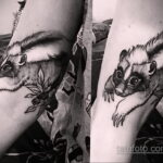 Фото татуировки со скунсом 28.03.2021 №490 - Skunk tattoo - tatufoto.com