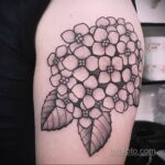 Фото татуировки цветок гортензия 31.03.2021 №024 - tattoo hydrangea - tatufoto.com
