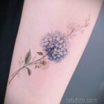 Фото татуировки цветок гортензия 31.03.2021 №066 - tattoo hydrangea - tatufoto.com