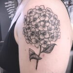 Фото татуировки цветок гортензия 31.03.2021 №067 - tattoo hydrangea - tatufoto.com