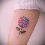 Фото татуировки цветок гортензия 31.03.2021 №083 - tattoo hydrangea - tatufoto.com