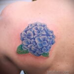 Фото татуировки цветок гортензия 31.03.2021 №092 - tattoo hydrangea - tatufoto.com