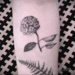 Фото татуировки цветок гортензия 31.03.2021 №101 - tattoo hydrangea - tatufoto.com