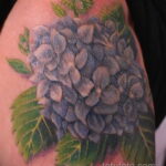 Фото татуировки цветок гортензия 31.03.2021 №127 - tattoo hydrangea - tatufoto.com