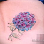 Фото татуировки цветок гортензия 31.03.2021 №137 - tattoo hydrangea - tatufoto.com
