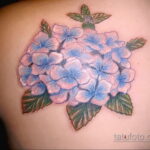 Фото татуировки цветок гортензия 31.03.2021 №139 - tattoo hydrangea - tatufoto.com