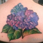 Фото татуировки цветок гортензия 31.03.2021 №140 - tattoo hydrangea - tatufoto.com