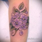 Фото татуировки цветок гортензия 31.03.2021 №146 - tattoo hydrangea - tatufoto.com
