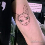 Фото интересного рисунка татуировки 04.04.2021 №271 - cool tattoo - tatufoto.com