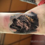 Фото татуировки с оборотнем 01.04.2021 №110 - werewolf tattoo - tatufoto.com