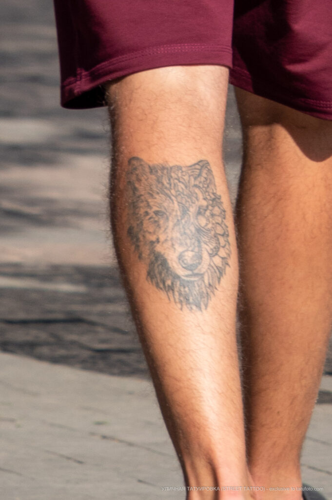 Тату морда волка на левой икре парня – Фото Уличная тату (street tattoo) № 13 – 27.06.2021 2