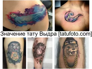 Фото тату: коллаж из нескольких татуировок выдры, выполненных в различных стилях: акварель, графика, реализм и мультяшный стиль. Идеи для тату выдры.