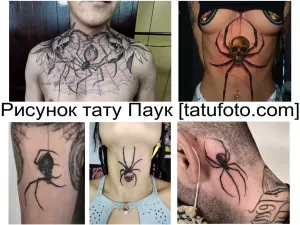 Фото тату: подборка рисунков пауков в разных стилях и размерах. От больших татуировок на спине до маленьких на руке.