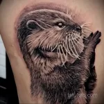Фото рисунка тату Выдра 24.07.2021 №031 - otter tattoo - tatufoto.com
