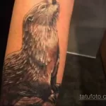 Фото рисунка тату Выдра 24.07.2021 №098 - otter tattoo - tatufoto.com