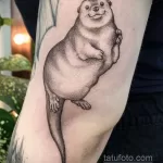 Фото рисунка тату Выдра 24.07.2021 №105 - otter tattoo - tatufoto.com