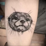 Фото рисунка тату Выдра 24.07.2021 №151 - otter tattoo - tatufoto.com