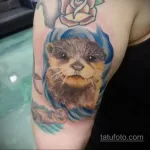 Фото рисунка тату Выдра 24.07.2021 №195 - otter tattoo - tatufoto.com