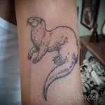 Фото рисунка тату Выдра 24.07.2021 №286 - otter tattoo - tatufoto.com