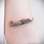 Фото рисунка тату Выдра 24.07.2021 №344 - otter tattoo - tatufoto.com