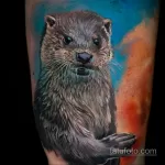 Фото рисунка тату Выдра 24.07.2021 №350 - otter tattoo - tatufoto.com