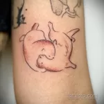 Фото рисунка тату Выдра 24.07.2021 №373 - otter tattoo - tatufoto.com