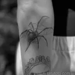 Фото рисунка тату ПАУК 25.07.2021 №026 - spider tattoo - tatufoto.com