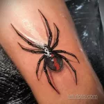 Фото рисунка тату ПАУК 25.07.2021 №040 - spider tattoo - tatufoto.com