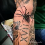 Фото рисунка тату ПАУК 25.07.2021 №070 - spider tattoo - tatufoto.com
