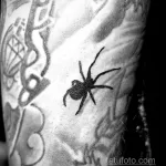 Фото рисунка тату ПАУК 25.07.2021 №079 - spider tattoo - tatufoto.com