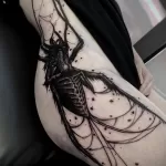 Фото тату: Реалистичный рисунок паука, выполненный в технике blackwork, покрывает большую часть бедра, создавая впечатляющий эффект.
