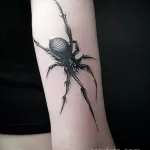 Фото рисунка тату ПАУК 25.07.2021 №097 - spider tattoo - tatufoto.com