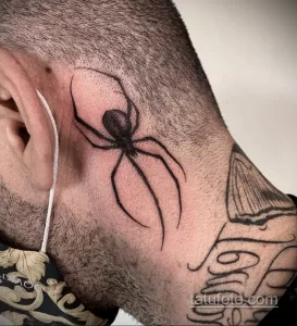 Фото рисунка тату ПАУК 25.07.2021 №114 - spider tattoo - tatufoto.com