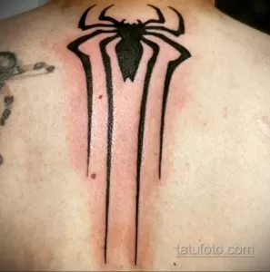 Фото рисунка тату ПАУК 25.07.2021 №115 - spider tattoo - tatufoto.com