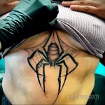 Фото рисунка тату ПАУК 25.07.2021 №118 - spider tattoo - tatufoto.com