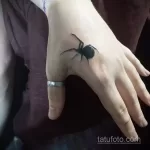 Фото рисунка тату ПАУК 25.07.2021 №119 - spider tattoo - tatufoto.com