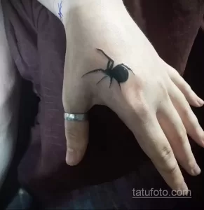 Фото рисунка тату ПАУК 25.07.2021 №119 - spider tattoo - tatufoto.com