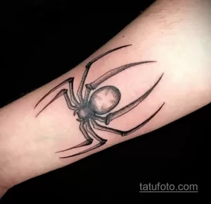 Фото рисунка тату ПАУК 25.07.2021 №121 - spider tattoo - tatufoto.com