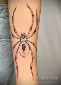 Фото рисунка тату ПАУК 25.07.2021 №122 - spider tattoo - tatufoto.com