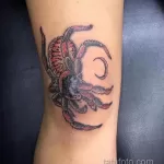 Фото рисунка тату ПАУК 25.07.2021 №123 - spider tattoo - tatufoto.com