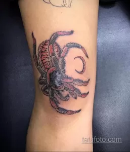 Фото рисунка тату ПАУК 25.07.2021 №123 - spider tattoo - tatufoto.com