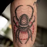 Фото рисунка тату ПАУК 25.07.2021 №163 - spider tattoo - tatufoto.com