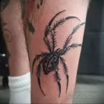 Фото рисунка тату ПАУК 25.07.2021 №229 - spider tattoo - tatufoto.com