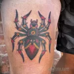 Фото рисунка тату ПАУК 25.07.2021 №255 - spider tattoo - tatufoto.com