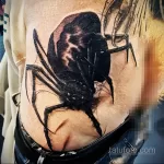 Фото рисунка тату ПАУК 25.07.2021 №278 - spider tattoo - tatufoto.com