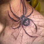 Фото рисунка тату ПАУК 25.07.2021 №332 - spider tattoo - tatufoto.com